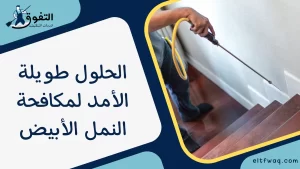 الحلول طويلة الأمد لمكافحة النمل الأبيض