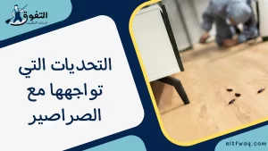 التحديات التي تواجهها مع الصراصير